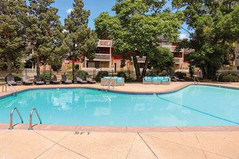 Sparkling swimming pool with sundeck